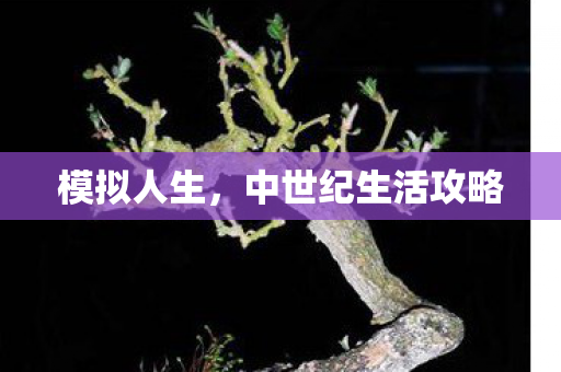 模拟人生，中世纪生活攻略