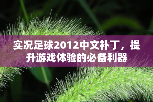 实况足球2012中文补丁，提升游戏体验的必备利器