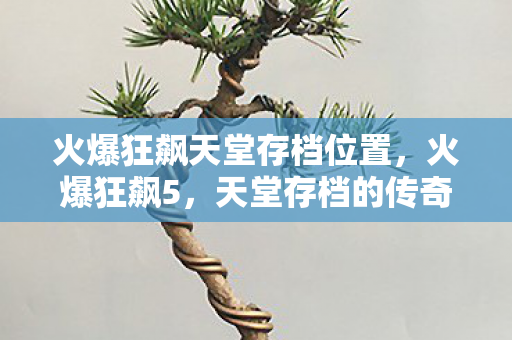 火爆狂飙天堂存档位置，火爆狂飙5，天堂存档的传奇之旅