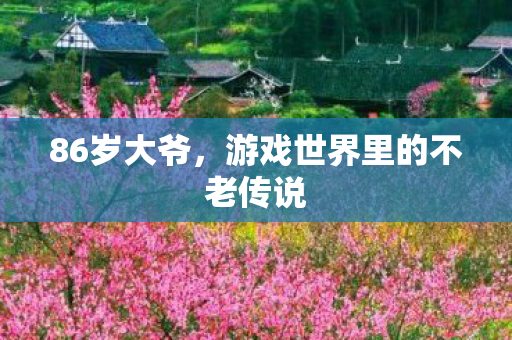 86岁大爷，游戏世界里的不老传说