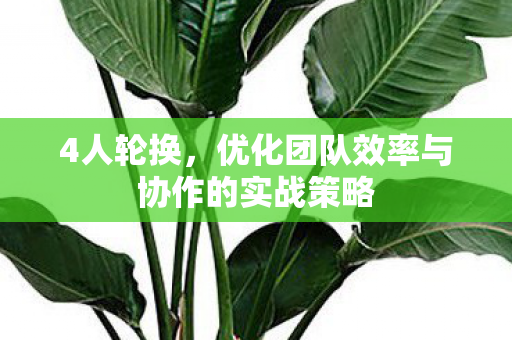 优化团队效率与协作的实战策略图片