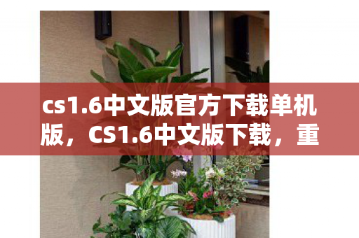 6中文版官方下载单机版图片