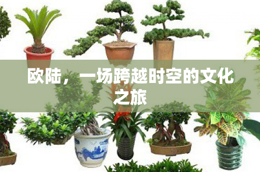 欧陆，一场跨越时空的文化之旅