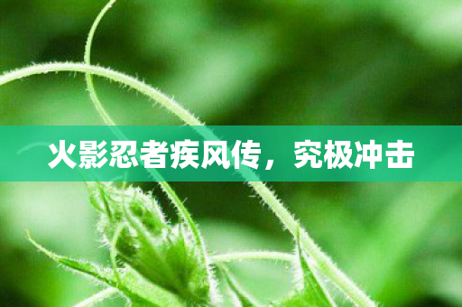 火影忍者疾风传，究极冲击