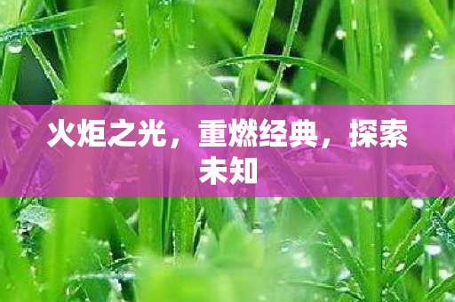 火炬之光，重燃经典，探索未知