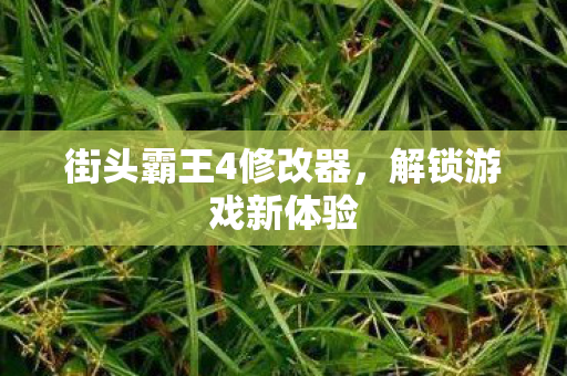 街头霸王4修改器，解锁游戏新体验