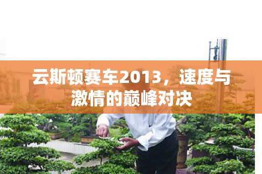 云斯顿赛车2013，速度与激情的巅峰对决