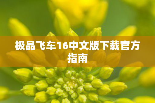 极品飞车16中文版下载官方指南