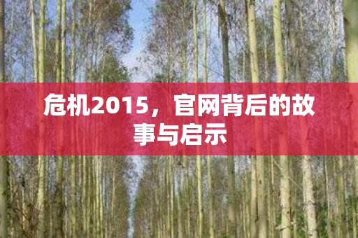 危机2015，官网背后的故事与启示