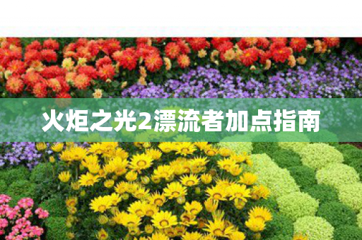 火炬之光2漂流者加点指南图片