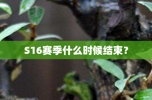 S16赛季什么时候结束？