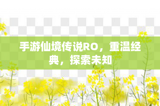 手游仙境传说RO图片