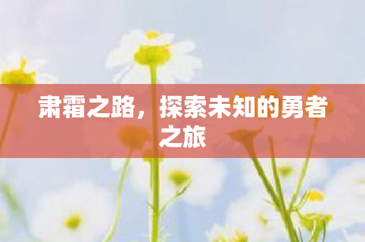 肃霜之路，探索未知的勇者之旅