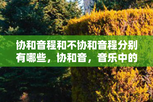 协和音程和不协和音程分别有哪些，协和音，音乐中的和谐之美