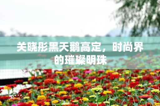 关晓彤黑天鹅高定，时尚界的璀璨明珠