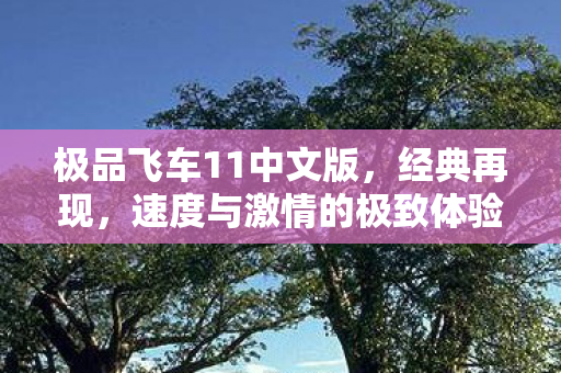 极品飞车11中文版，经典再现，速度与激情的极致体验