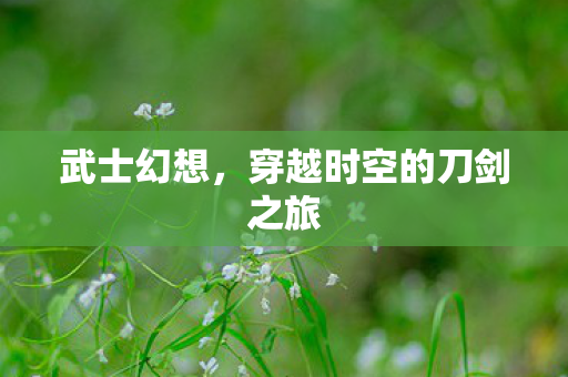 武士幻想，穿越时空的刀剑之旅
