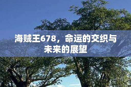 海贼王678，命运的交织与未来的展望