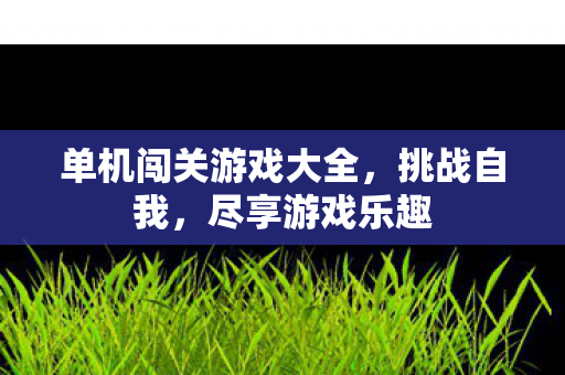 单机闯关游戏大全图片