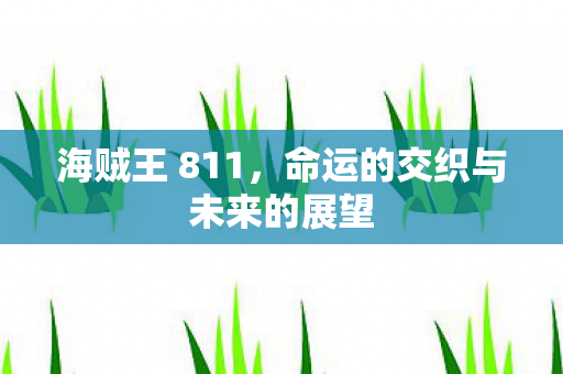 海贼王 811，命运的交织与未来的展望
