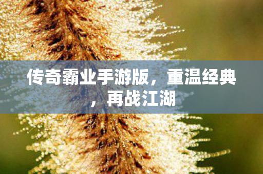 传奇霸业手游版，重温经典，再战江湖