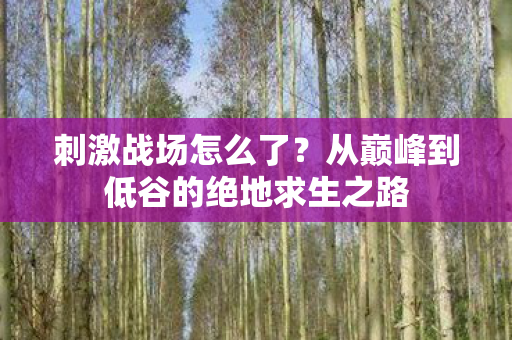 刺激战场怎么了？从巅峰到低谷的绝地求生之路