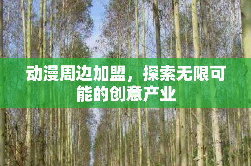 动漫周边加盟，探索无限可能的创意产业