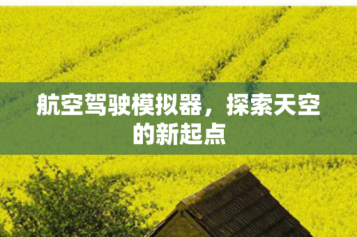 探索天空的新起点图片