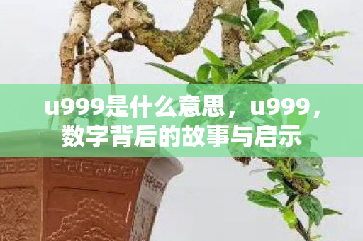 u999是什么意思，u999，数字背后的故事与启示