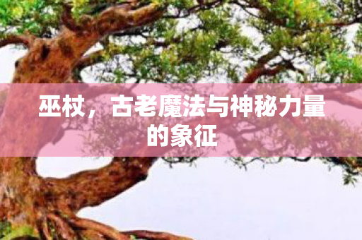 巫杖，古老魔法与神秘力量的象征