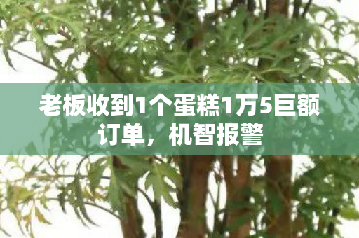 老板收到1个蛋糕1万5巨额订单，机智报警