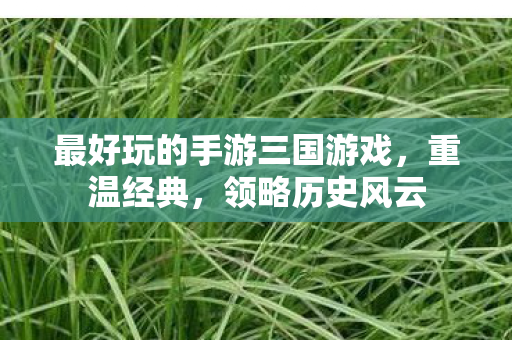 最好玩的手游三国游戏，重温经典，领略历史风云