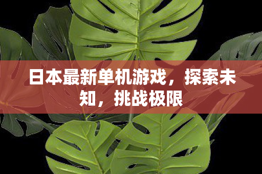 日本最新单机游戏，探索未知，挑战极限