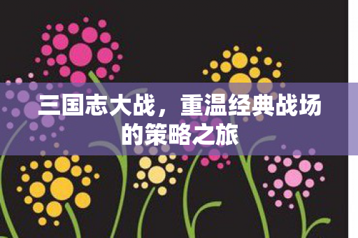 重温经典战场的策略之旅图片