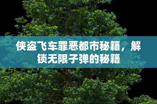 侠盗飞车罪恶都市秘籍图片