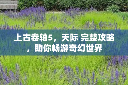 助你畅游奇幻世界图片