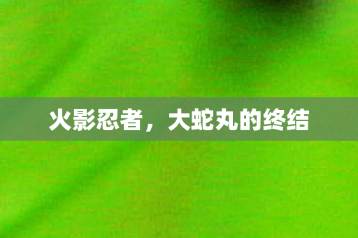 大蛇丸的终结图片