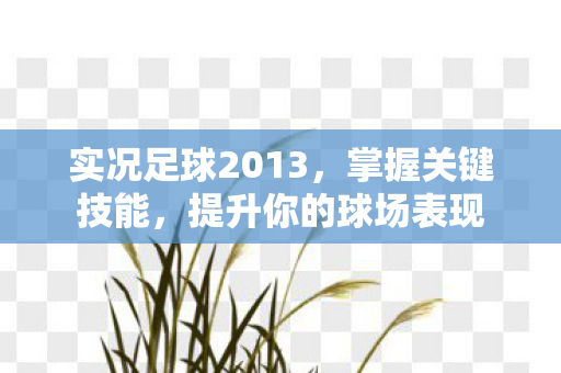 实况足球2013图片