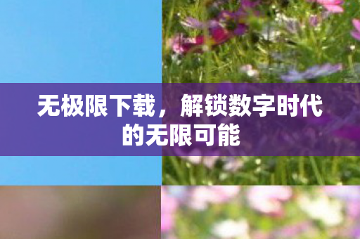 解锁数字时代的无限可能图片