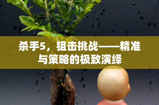 精准与策略的极致演绎图片