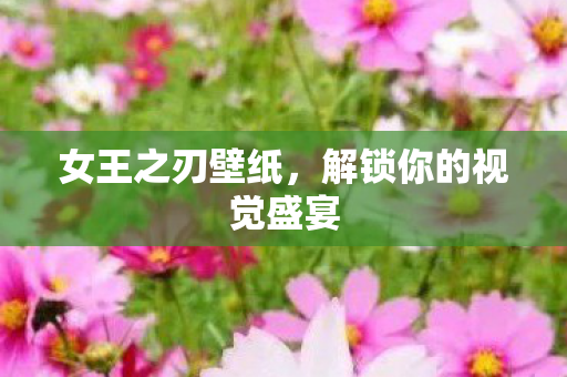 解锁你的视觉盛宴图片