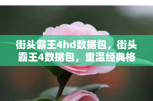 街头霸王4hd数据包,街头霸王4数据包,重温经典格斗游戏的数字记忆 街头霸王4hd数据包,街头霸王4数据包,重温经典格斗游戏的数字记忆
