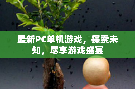 最新PC单机游戏图片