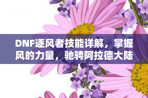 DNF逐风者技能详解图片
