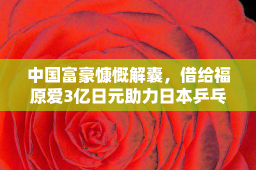 借给福原爱3亿日元助力日本乒乓传奇图片