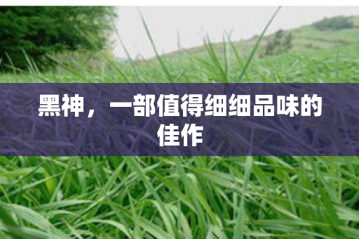 一部值得细细品味的佳作图片