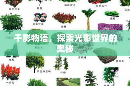 探索光影世界的奥秘图片