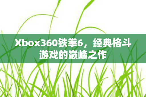 经典格斗游戏的巅峰之作图片