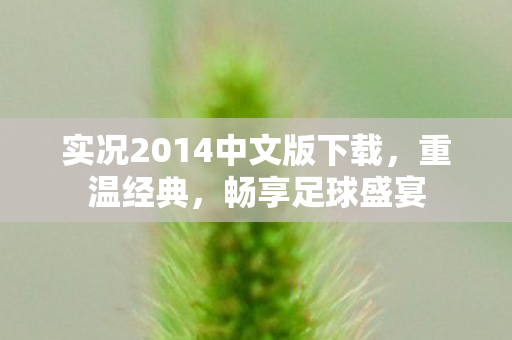 实况2014中文版下载图片