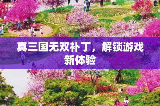 真三国无双补丁图片